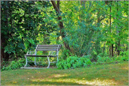 Backyard View 7 6.5 6 19.5 James Hamilton  Pictorial Gold