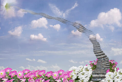 Stairway To Heaven 9 7.5 8 24.5 HM GPP Elzbieta Piskorz  Creative Gold