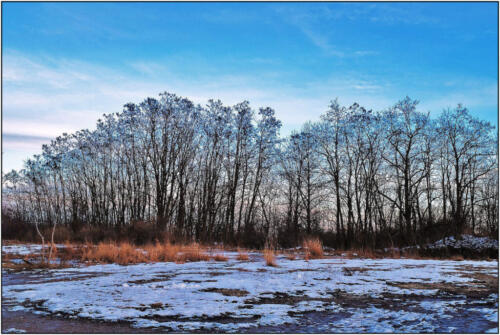 Kernscliff View 7 7.5 7 21.5 James Hamilton  Pictorial Gold