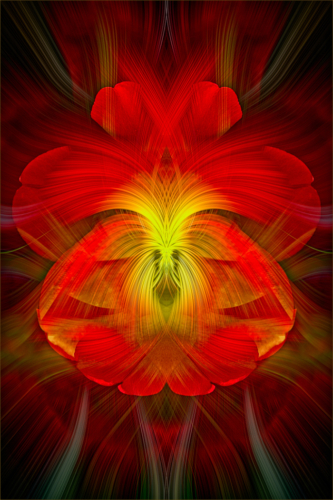 Kathryn Martin-The Pansy in the Tulip 24.5