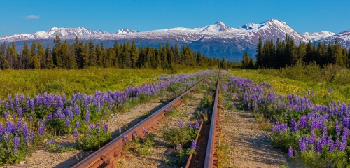 The Rail Trail from Klondike Hwy to SkagwayTop P 26 TC DP Geoff Dunn Pictorial Master