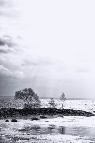 Cold Day at the Beach 21 Chris Sparks Pictorial Silver