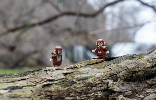 Monkeying Around 20 Brie Langs Pictorial Silver