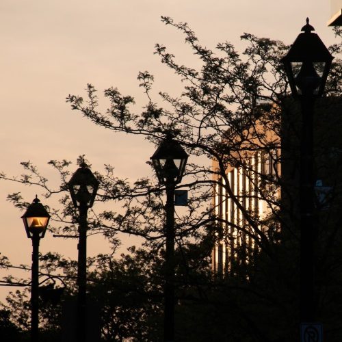 Dusk 19.5 Chris Sparks Pictorial Silver
