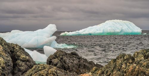 Icebergs in Twillingate Bay 22.5 Herb McClelland Pictorial Gold