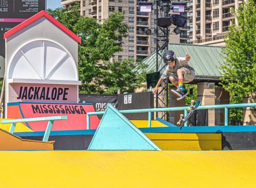 Jackalope Mississauga 21.5 Bertin Francoeur Pictorial Master