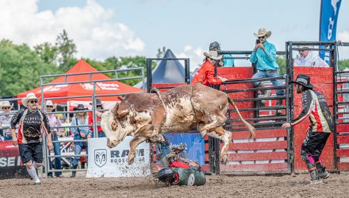Out of the Way Cowboy 21.5 Bertin Francoeur Pictorial Master