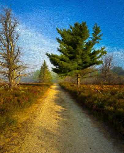 Country Road 21.5 Lan Gao Pictorial Silver