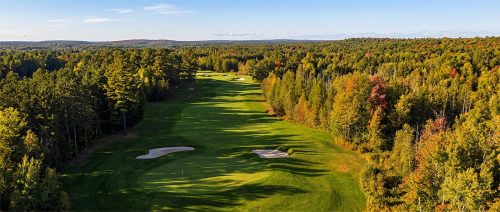 Twilight Fairway 21.5 BPP Emanuele Nasello Pictorial Bronze