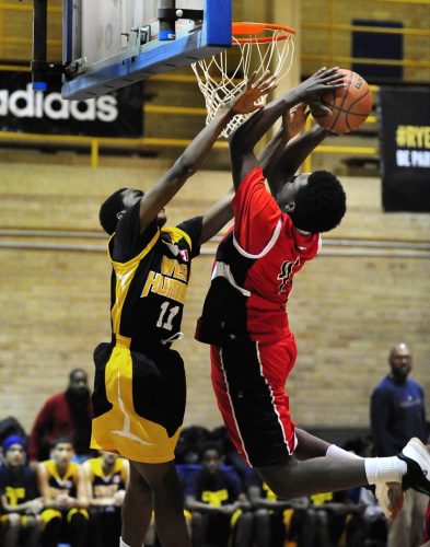 West Humber basketball 19 Peter McCusker Pictorial Gold