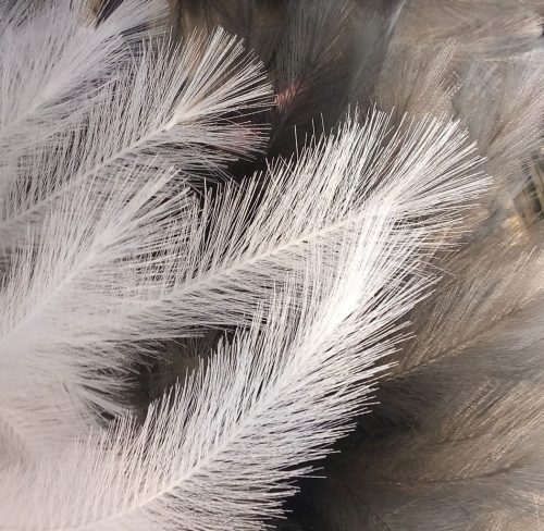 feathers 22 John Bunyon Pictorial Gold