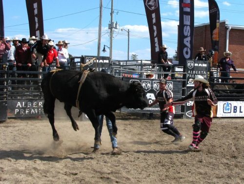 living dangerously 21 John Bunyon Pictorial Gold