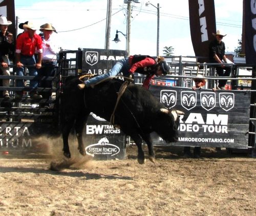 game over 19 John Bunyon Pictorial Gold