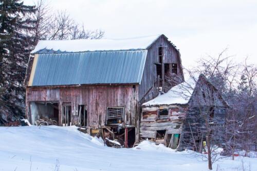 Old Barn  20.5  Pictorial  Silver  Geoffrey  Skirrow