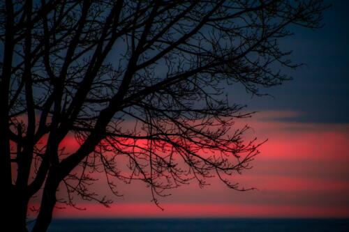 No Warning  19  Pictorial  Silver  Bill  West