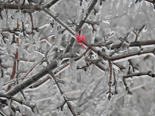 Branches  19.5  Pictorial  Bronze  Toni  Browning
