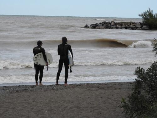 Surfers  18.5  Pictorial  Bronze  Toni  Browning