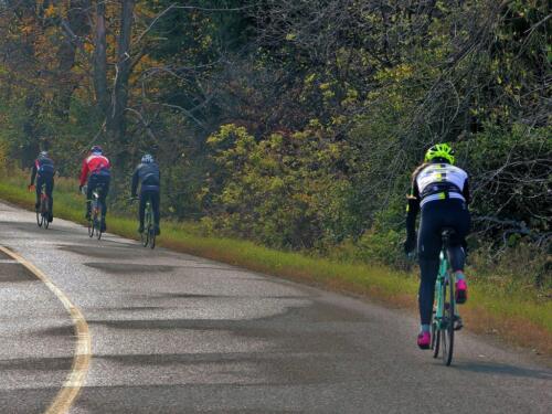 Out for a Fall Ride  20  Pictorial  Gold  James  Hamilton