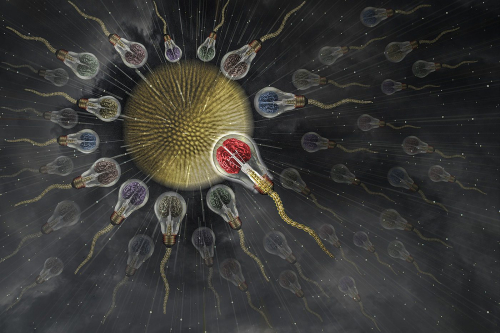 Cosmic Seed Top C 28 TC DP Doug Doede Creative Master