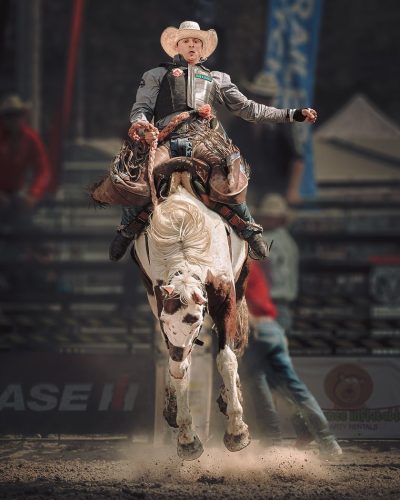 Terror on Four Legs 25 TC GPP Jon Dun Pictorial Gold