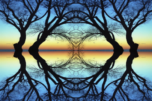 Whatever You See 26 TC SPP Jim Orcheson Creative Silver