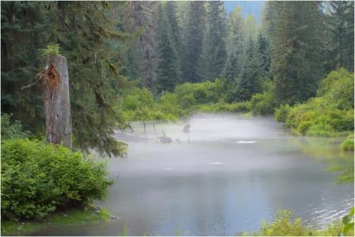 Misty Morning Pond 7.5 6.5 7.5 21.5 Riana Vermaak  Pictorial Silver
