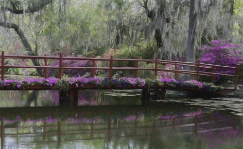 Dreamy South Carolina Garden  6.5 7 7.5 21 Judy Boufford  Creative Gold