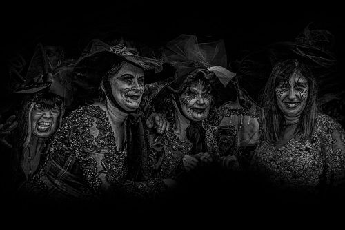 Dressed up and no place to go 24.5 HM DP Victor Turczynski Pictorial Master