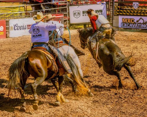 Eight Seconds of Chaos 21 Mike Moffat Pictorial Silver