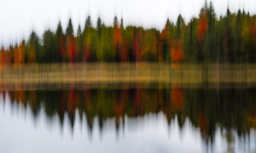Natures Sound Wave - ICM 20 Tracey Kenning Creative Bronze