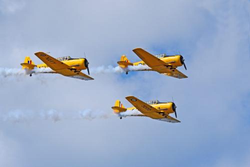 3 Planes Air Show 8 7.5 8 23.5 HM SPP Carey Hope  Pictorial Silver