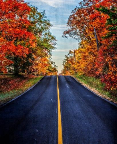 Road To Fall 6.5 7 7 20.5 Marino Favretto  Creative Bronze