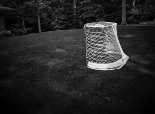 Empty Net (Taken Wth 37 Holga)  6 6.5 6.5 19 Patrick Mohide  Pictorial Gold