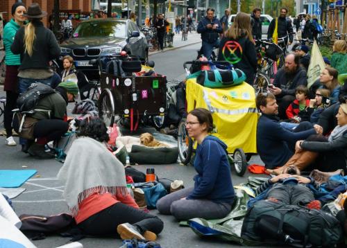 Demonstration Dog 7.5 6 7.5 21 Patrick Mohide  Pictorial Gold