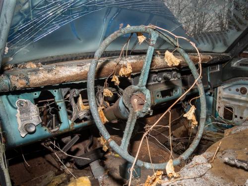 Cruising To Nowhere  7 7 7 21 BPP Mike Mulvale  Pictorial Bronze