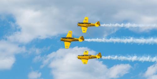 Flying Trio 7 8 7.5 22.5 Bertin Francoeur  Pictorial Gold