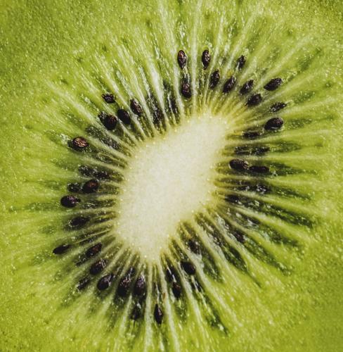 Kiwi 7 7 7 21 Elzbieta Piskorz  Pictorial Gold