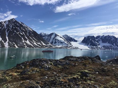 Arctic 7.5 7.5 6.5 21.5 Ewa Rakowski  Pictorial Silver