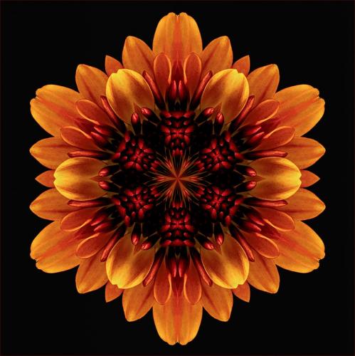 Ablaze 9.5 8 8 25.5 TC GPP Claudia Povilauskas  Creative Gold