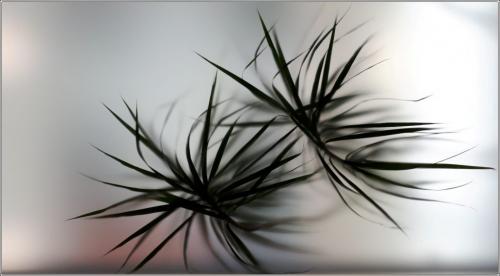 Amorphous 7.5 7.5 7 22 SPP John Bunyon  Pictorial Silver