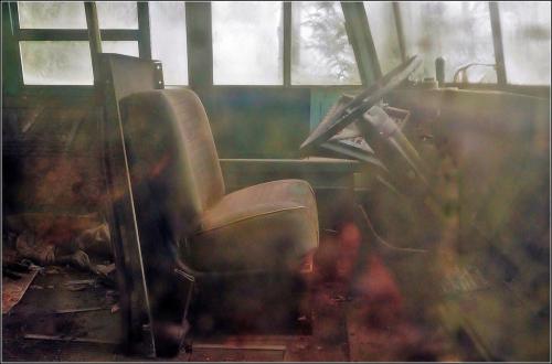 School Bus Memories 7 7 7.5 21.5 James Hamilton  Pictorial Gold