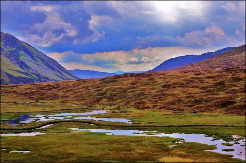 Scotland Vista  Pictorial Gold