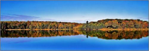 Sharbot Lake Provincial Park 6.5 7 6.5 20 James Hamilton  Pictorial Gold
