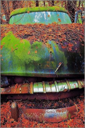 The Wrecking Yard 7 6.5 7.5 21 James Hamilton  Pictorial Gold