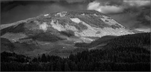 The Human Element 8 7.5 6 21.5 David Evans  Pictorial Gold