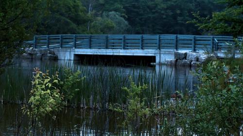 Valley Inn Bridge 7 7 6 20 John King  Pictorial Gold