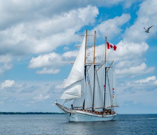 What Dreams Are Made Of 7.5 7.5 7.5 22.5 Bertin Francoeur  Pictorial Gold