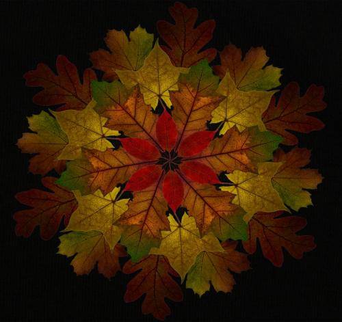 Autumn Leaves 8 8.5 8.5 25 TC DP Doug Doede  Creative Master