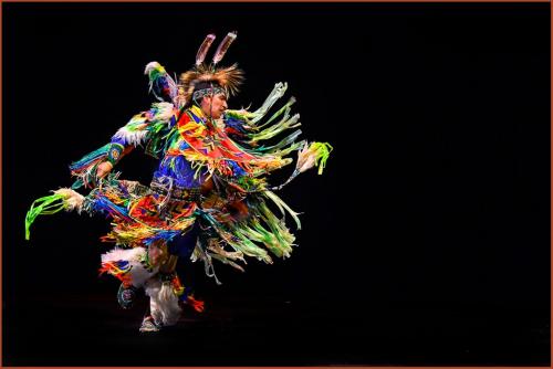 Indigenous Dancer 8 7.5 7.5 23 GPP Greg Alderson  Pictorial Gold