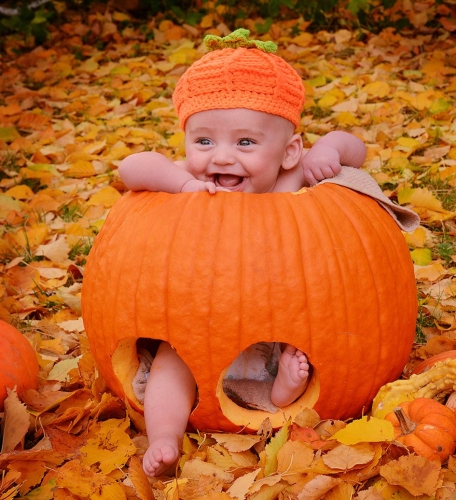 Pumpkin Patch Kid 24.5 TC SPP Peter McCusker Pictorial Silver